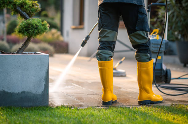 Best Local Pressure Washing Services  in Denton, MD